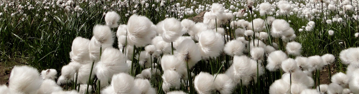 Продукция высокого качества